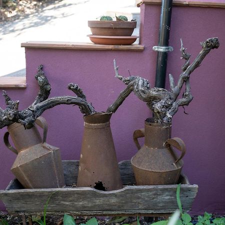 Agriturismo Etna-Mare Пиедимонте Етнео Екстериор снимка